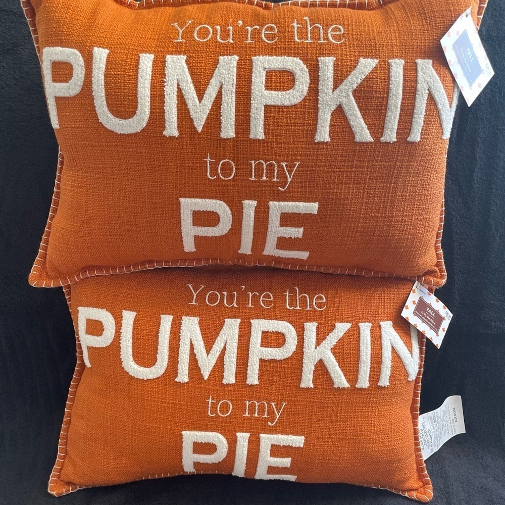NWT Set of 2 Hobby Lobby Orange and White Accent Pillows - Picture 7 of 7